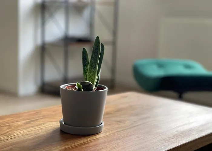 Modern * Zentral * Netflix * Arbeitsplatz * 부퍼탈